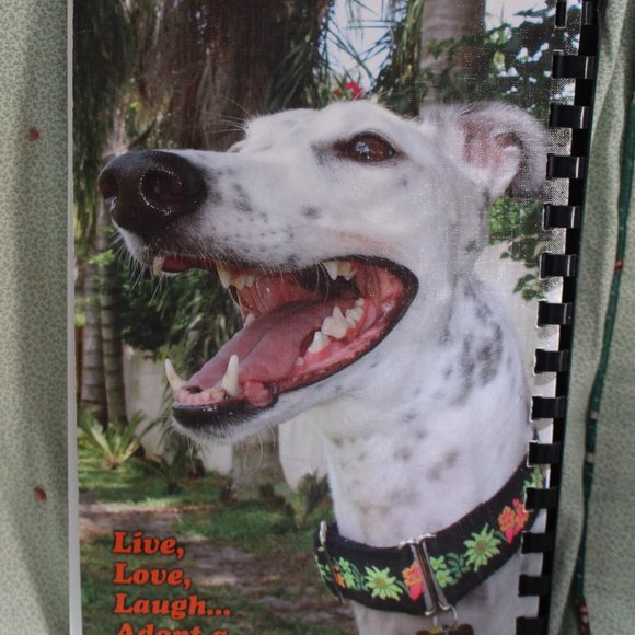 Greyt Bites Greyhound Pets of America Greater Orlando Spiral Bound Cookbook 2008 - Picture 3 of 7
